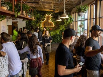 Cannabis Bars Could Debut OnLong Island Under New Rules