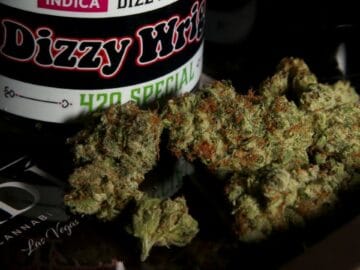 Bill Allowing Amsterdam-Style Cannabis Cafés Passes California Assembly