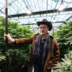 Actor, Cannabis Farmer Jim Belushi Wants To Tap Into Florida Green