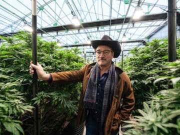Actor, Cannabis Farmer Jim Belushi Wants To Tap Into Florida Green