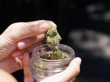 Vermont Boosts Medical Cannabis Plant And THC Limits
