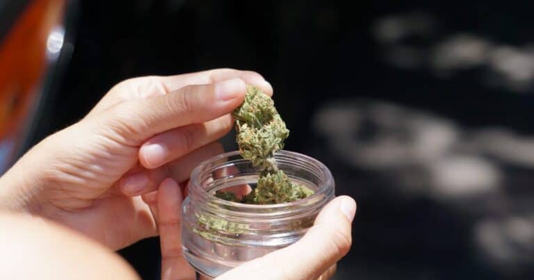 Vermont Boosts Medical Cannabis Plant And THC Limits