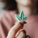 5 Ways To Consume Cannabis On The Lowdown | GreenState