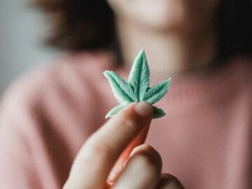 5 Ways To Consume Cannabis On The Lowdown body { font-family: Arial, sans-serif;
}
h1, h2 { color: #333;
}
p { color: #555; line-height: 1.5;
}
a { color: #0095ee; text-decoration: none;
}
figure { margin: 1.5em 0;
}
figcaption { color: #777; font-size: 0.9em; margin-top: 0.5em;
}
b { font-weight: bold;
} 5 Ways To Consume Cannabis On The Lowdown | GreenState 1 5 Ways To Consume Cannabis On The Lowdown | GreenState