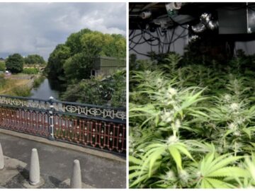 Hot Factory Roof NearLeeds Canal Led Police To 400,000 Professional Cannabis Operation