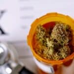 Medical Cannabis Does Not Reduce Use Of Prescription Meds 3 Medical Cannabis Does Not Reduce Use Of Prescription Meds