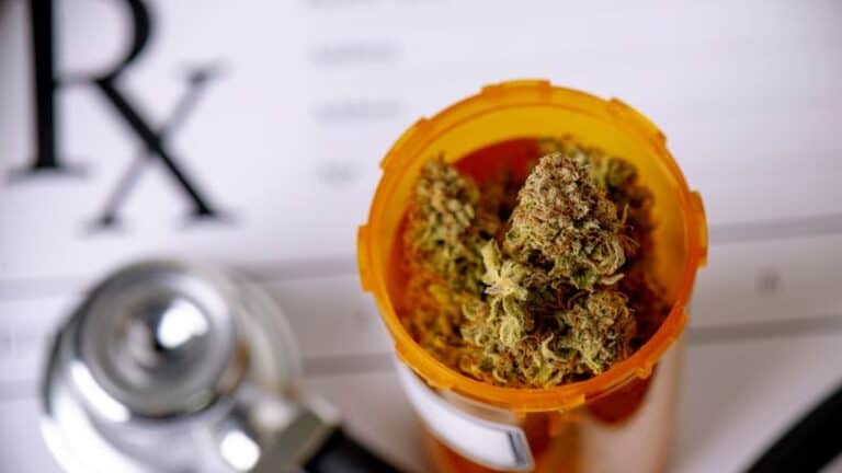 Medical Cannabis Does Not Reduce Use Of Prescription Meds