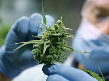 Cannabis Banking Bill Will Widen Access To Banking Services