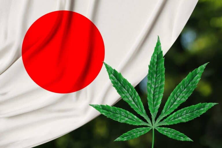 Cannabeginners: How To Legally Use Cannabis In Japan
