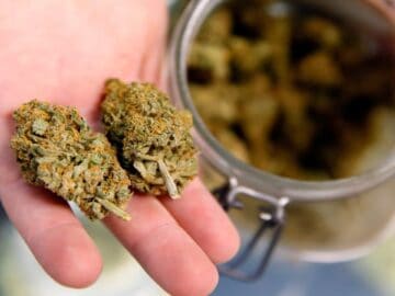 N.Y. State Senator Proposes Banning Cannabis Consumption In Public Places