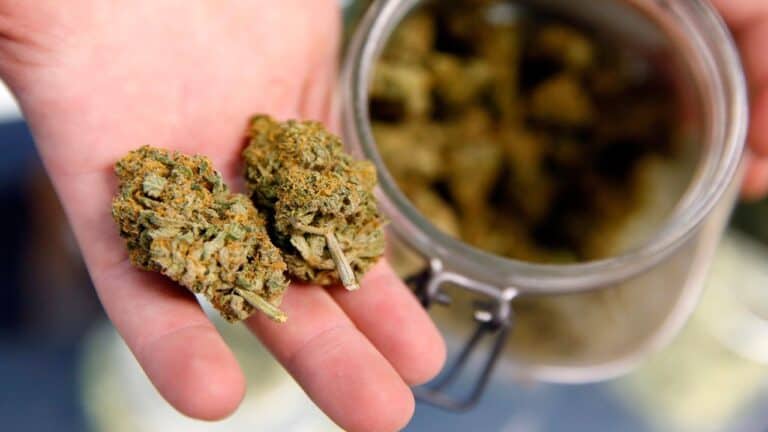 N.Y. State Senator Proposes Banning Cannabis Consumption In Public Places