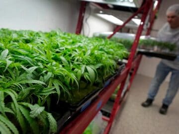 Bipartisan, bicameral group releases Request for Information on FDA regulation of CBD