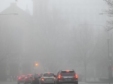 Airport chaos as pea-souper fog wipes out Adelaides skyline