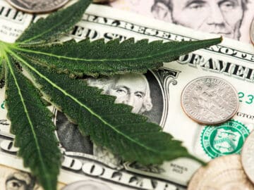 3 Cannabis Stocks To Buy Before The Breakout