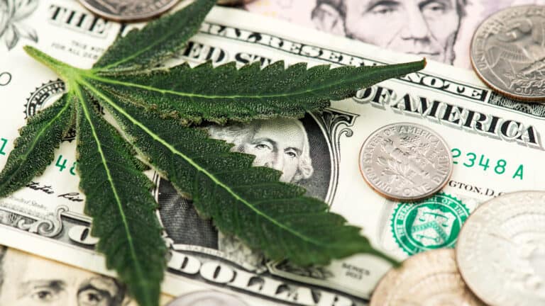 3 Cannabis Stocks To Buy Before The Breakout