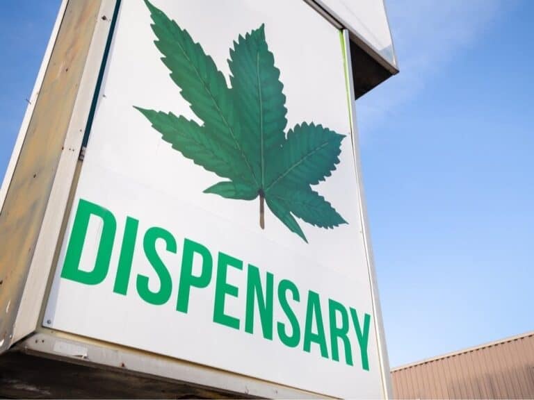 Cannabis Shop Interviewing To Fill Jobs In Hudson Valley
