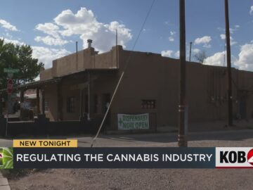 NM Cannabis Control Division Files Injunction Against Albuquerque Dispensary