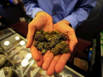AZ Cannabis Sales Dipped At The End Of Spring • Arizona Mirror