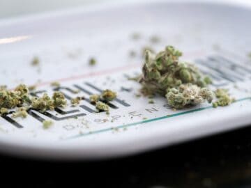 Possible Easing Of Marijuana Restrictions Could Have Major Implications