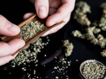 Concrete Truck Driver 'unjustifiably Dismissed' After Cannabis Use, Authority Rules
