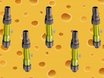 Nacho Ordinary Vape: "queso" Cart Is The Latest Colorado Cannabis Collab | GreenState 5 Nacho Ordinary Vape: “queso” Cart Is The Latest Colorado Cannabis Collab | GreenState