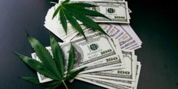 Cannabis Short Selling Rises Despite September Rally