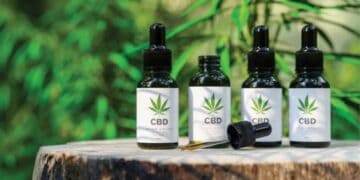New Study Reveals CBD Searches Jumped Nearly 200% Over Past Decade