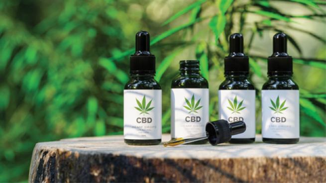New Study Reveals CBD Searches Jumped Nearly 200% Over Past Decade