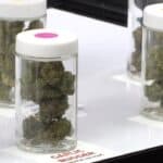 Cannabis Director Search To Start Over As Questions Remain