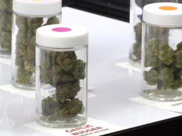 Cannabis Director Search To Start Over As Questions Remain