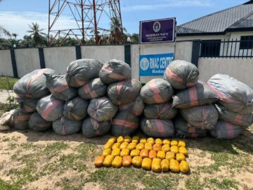 Navy Hands Over Cannabis Sativa Valued N35m To NDLEA In Badagry 7 Navy Hands Over Cannabis Sativa Valued N35m To NDLEA In Badagry