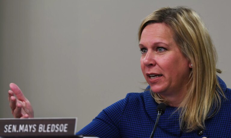 Legislative Committee Discusses Vaping Issue, Potential Solutions – The Lexington Times
