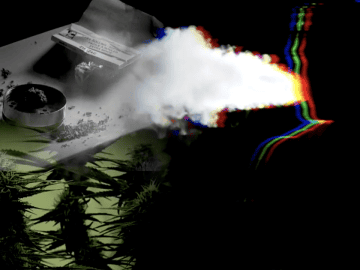 Could Cannabis Bring More Crime? What Communities With Legal Pot Tell Us