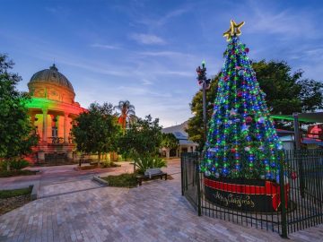 Join the Festive Fun at the CBD Christmas Fair! 11 Join the Festive Fun at the CBD Christmas Fair!