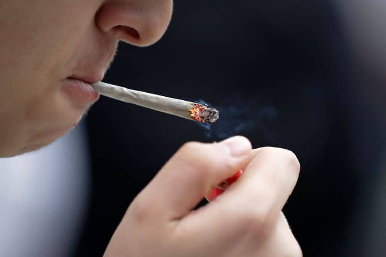 License Approved, Newark Cannabis Lounge Plans Early 2024 Opening