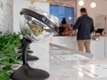 Cannabis Businesses Sue Over Federal Prohibition