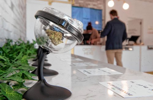 Cannabis Businesses Sue Over Federal Prohibition