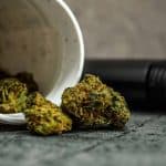 Medical Cannabis Awareness Week 2023 – What To Expect And How To Attend – Leafie