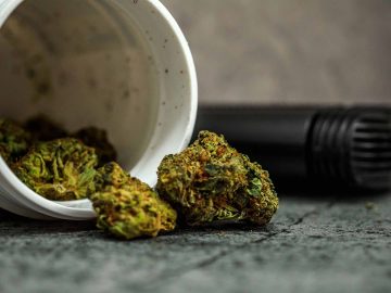Medical Cannabis Awareness Week 2023 – What To Expect And How To Attend – Leafie