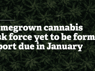 Homegrown Cannabis Task Force Yet To Be Formed, Report Due In January