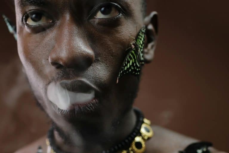 Hazy Holidays: Best Vapes Of The Season