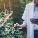 6 Best THC Testers for Professional Cultivators and Homegrowers