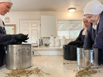 Non-religious nuns make CBD products to help people with pain 8 Non-religious nuns make CBD products to help people with pain