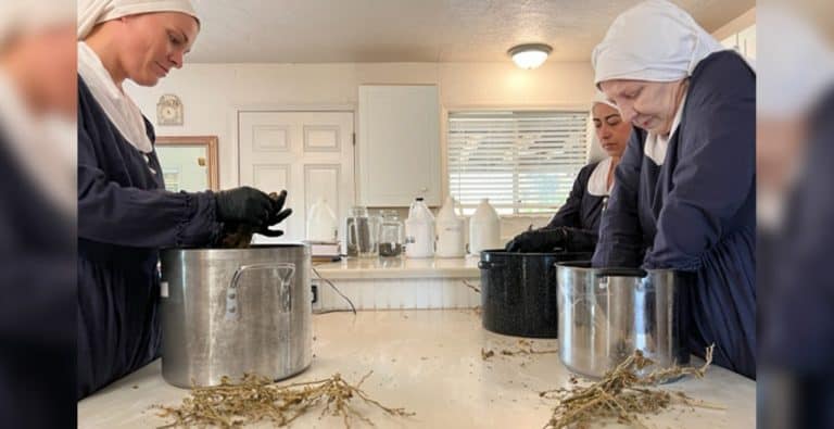 Non-religious nuns make CBD products to help people with pain