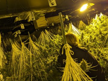 Suspected Cannabis Grow Worth Found In Bath | Avon And Somerset Police 3 Suspected Cannabis Grow Worth Found In Bath | Avon And Somerset Police