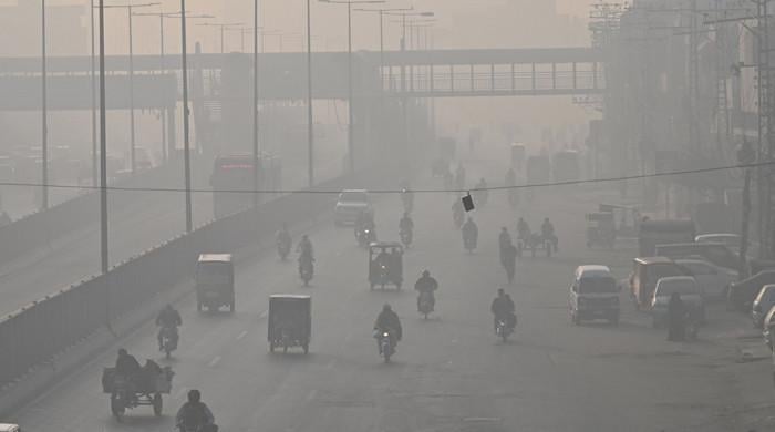 CBD initiates Miyawaki Forest plantation to combat smog