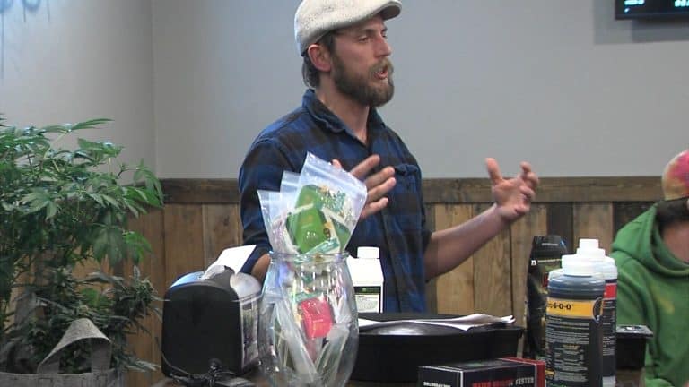 Moorhead Business Owner Offering Free Classes On Cannabis Growing