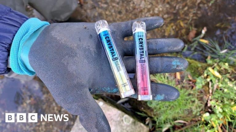Wiltshire Conservation Group Finds Disposable Vapes On Riverbed