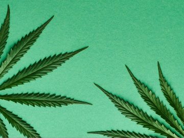 Five Years Of Legal Weed In Michigan – Hour Detroit Magazine