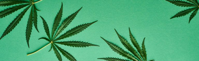 Five Years Of Legal Weed In Michigan – Hour Detroit Magazine